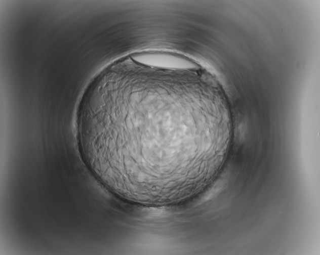 X0000089730990200707051736
