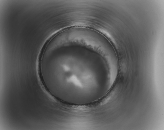 X0000089730991200707051736
