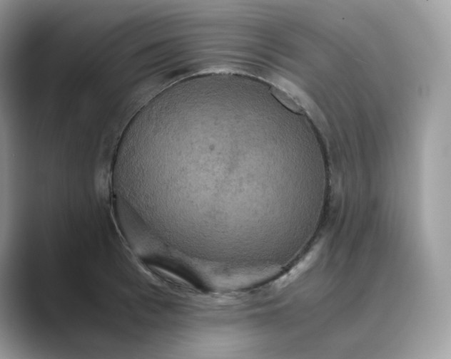 X0000089730993200707051736