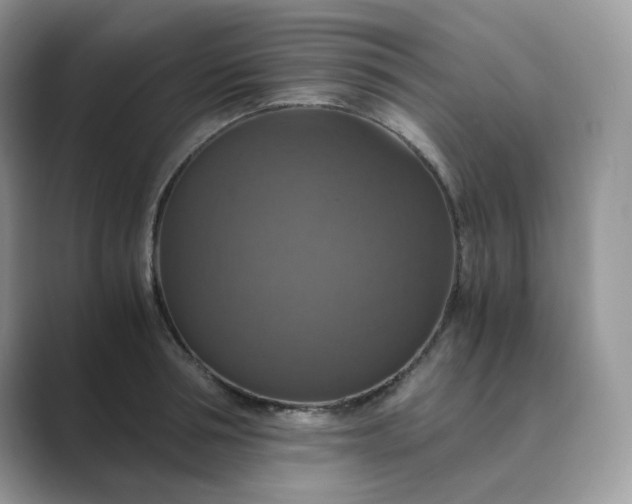 X0000089730994200707051736