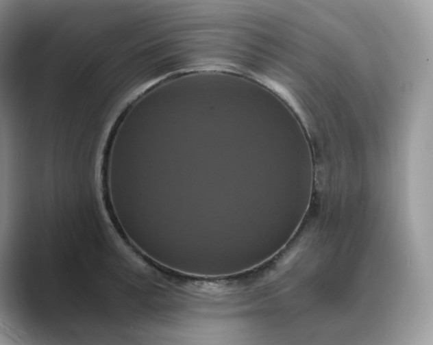 X0000089730995200707051736