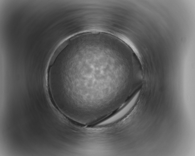 X0000089730996200707051736