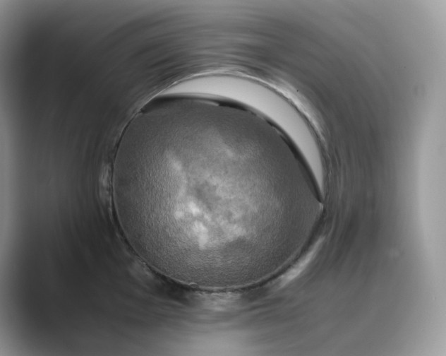 X0000089731001200707051735