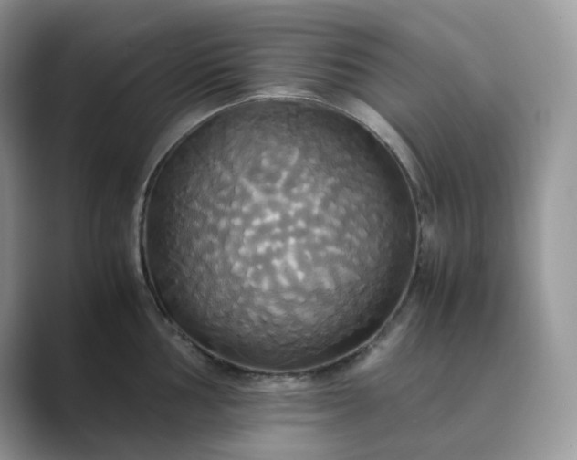 X0000089731002200707051735