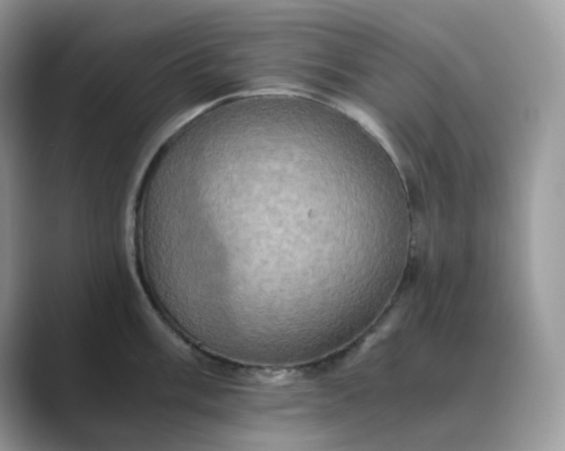 X0000089731003200707051735