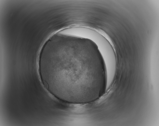 X0000089731005200707051735
