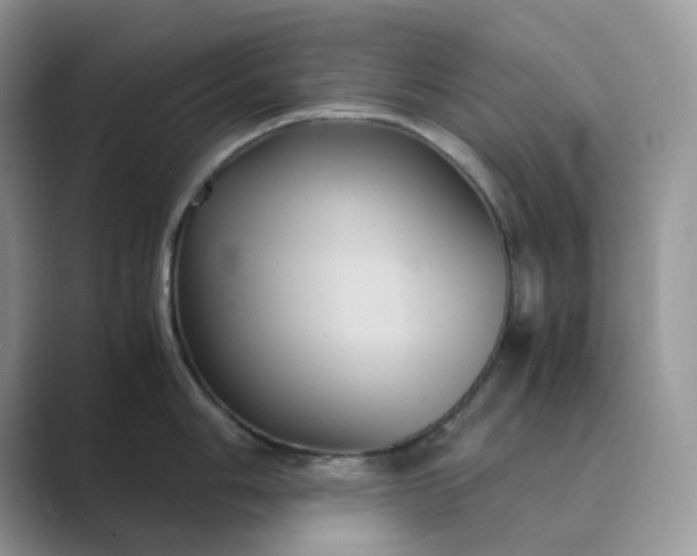 X0000089731006200707051735