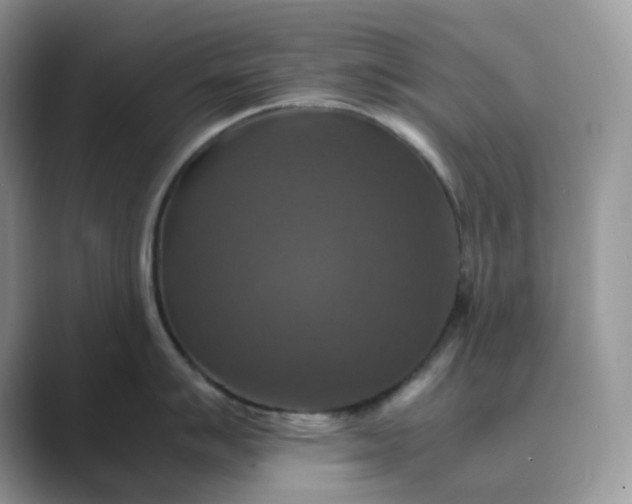 X0000089731007200707051735