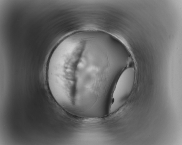 X0000089731008200707051735