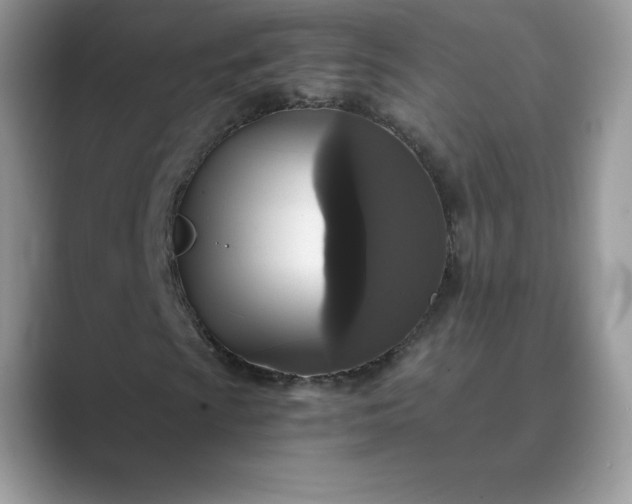 X0000089731009200707051735