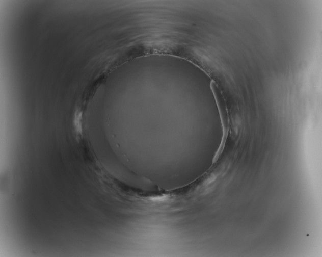 X0000089731010200707051735