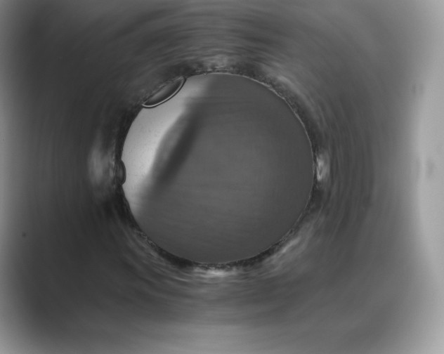 X0000089731011200707051735
