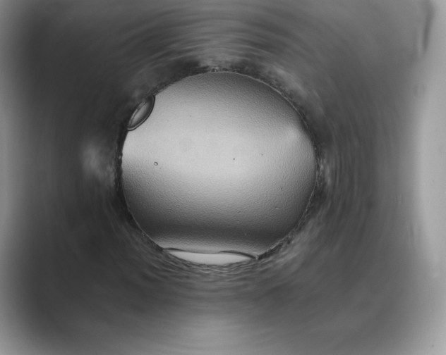 X0000089731012200707051735