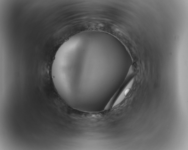 X0000089731013200707051735