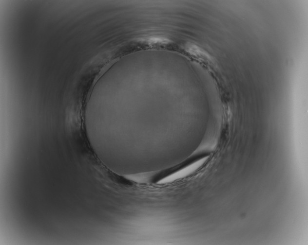 X0000089731014200707051735
