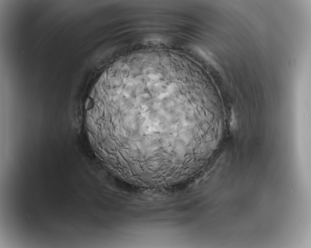 X0000089731015200707051735