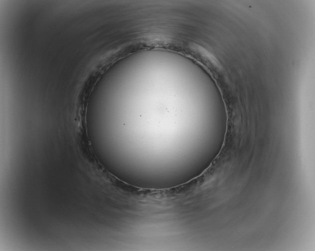 X0000089731016200707051735