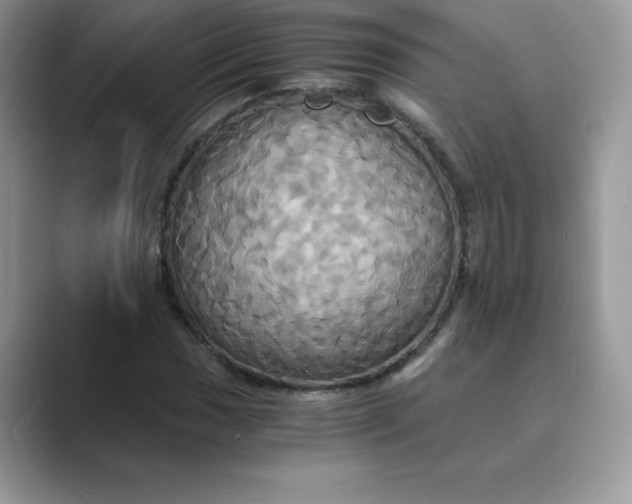 X0000089731017200707051735