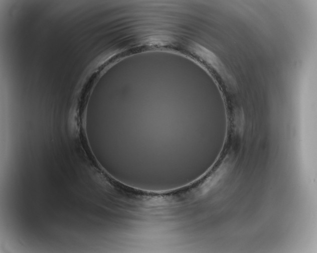 X0000089731018200707051735