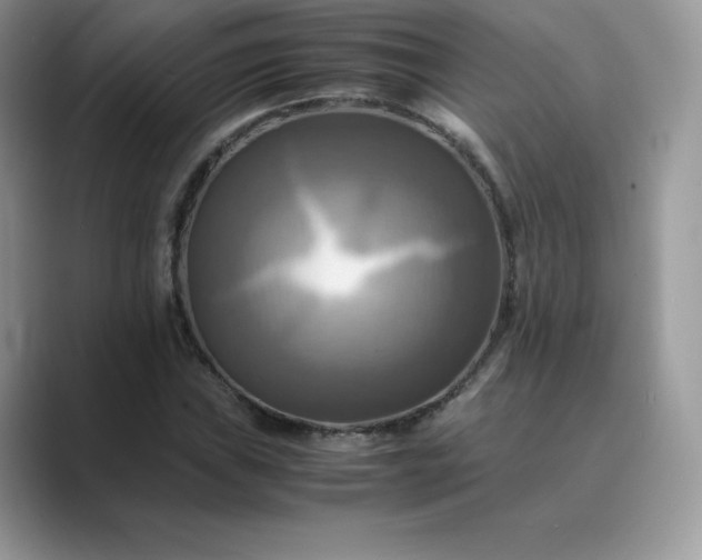X0000089731019200707051735