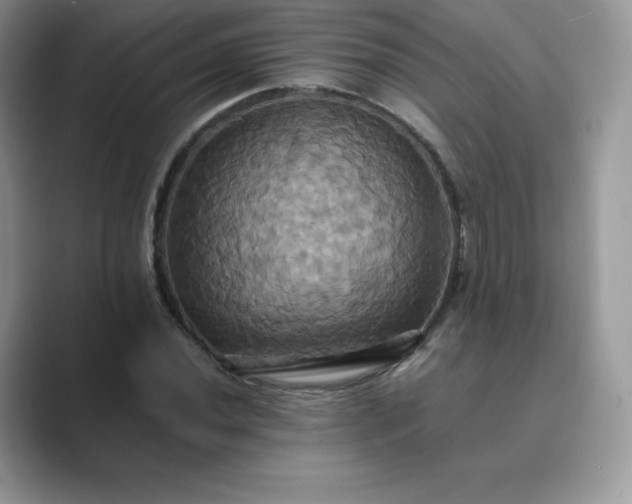 X0000089731020200707051735