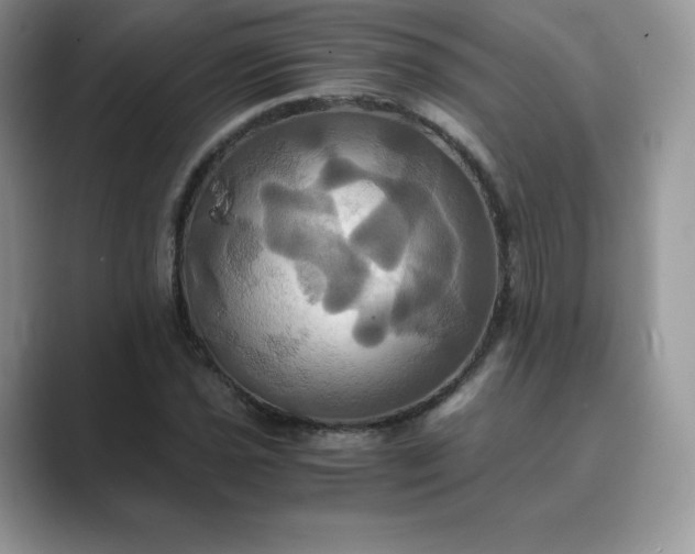 X0000089731021200707051735