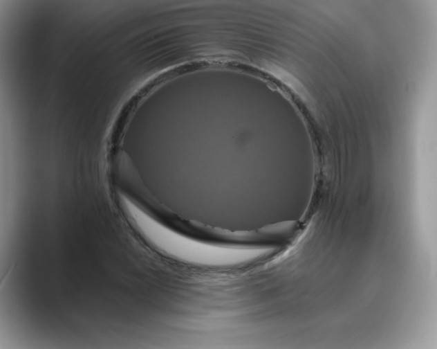 X0000089731022200707051735