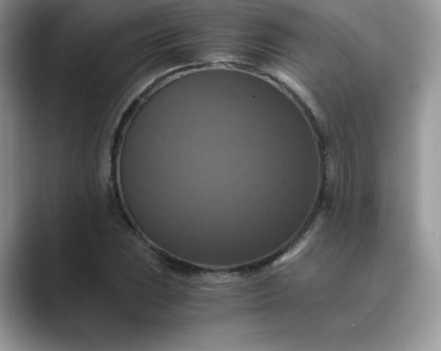 X0000089731023200707051735