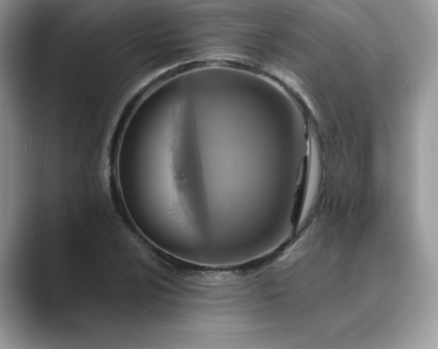 X0000089731024200707051735