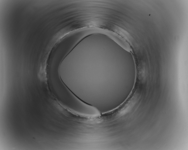X0000089731026200707051735