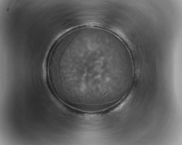 X0000089731032200707051735