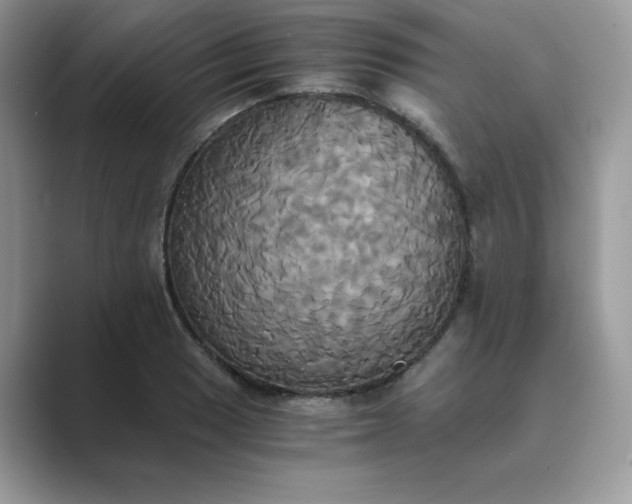 X0000089731033200707051735
