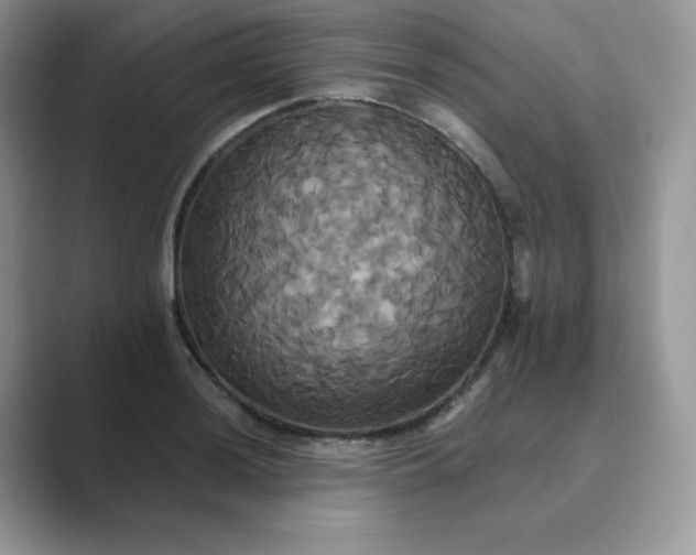 X0000089731036200707051735