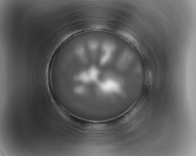 X0000089731039200707051735