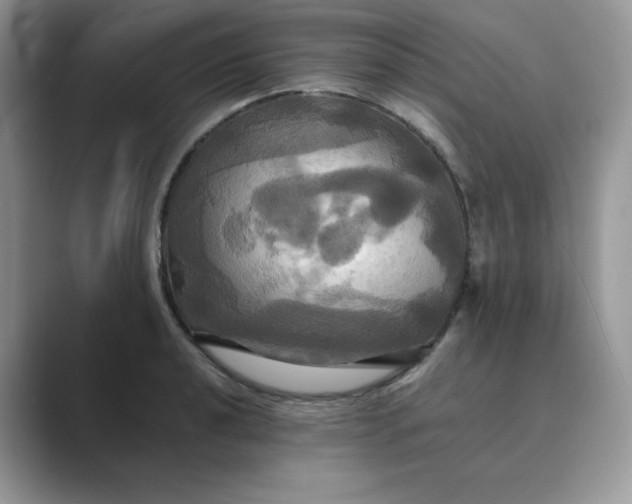 X0000089731040200707051735