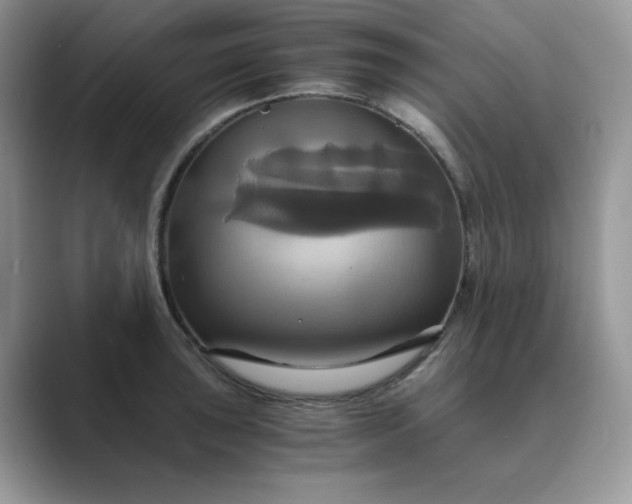 X0000089731043200707051735