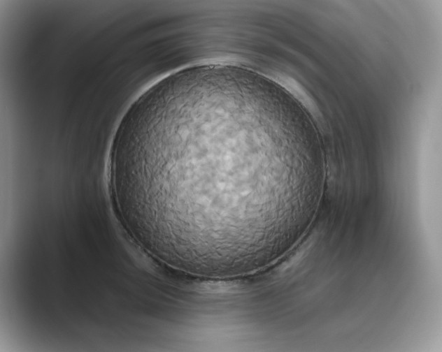 X0000089731044200707051735