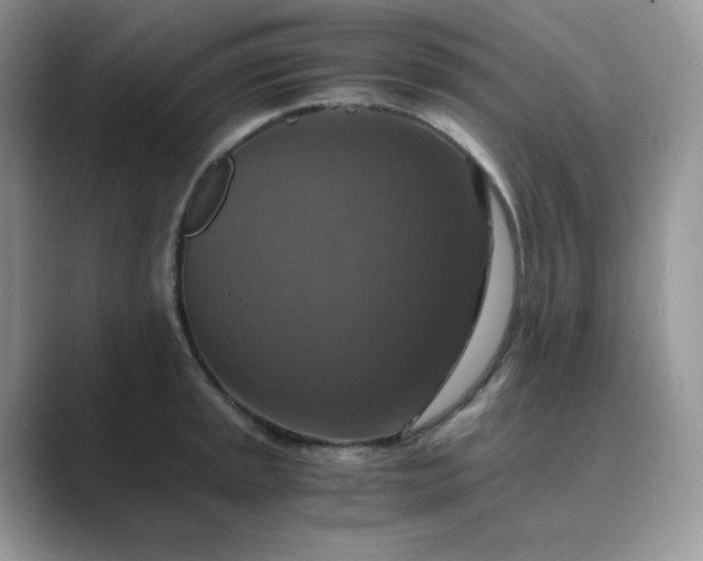 X0000089731045200707051735