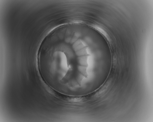 X0000089731047200707051735