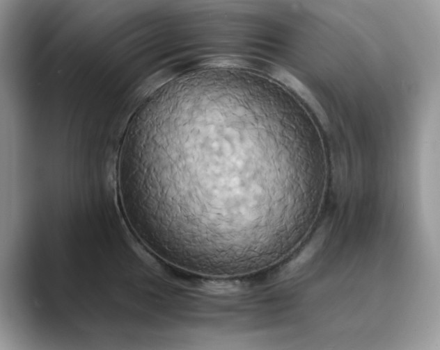 X0000089731049200707051735
