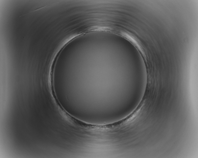 X0000089731050200707051735