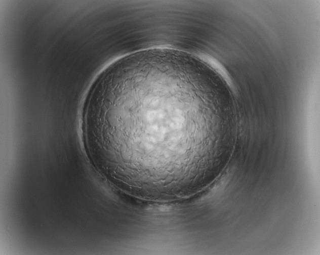 X0000089731051200707051735
