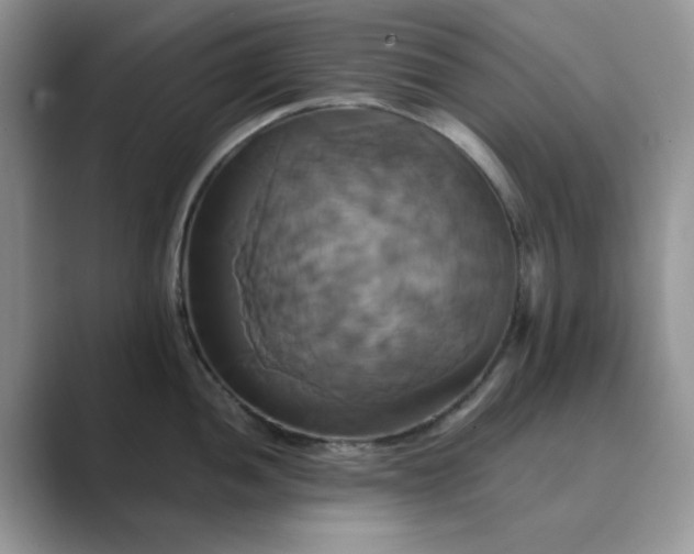 X0000089731052200707051735