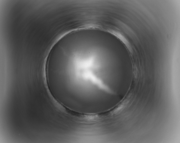 X0000089731055200707051735