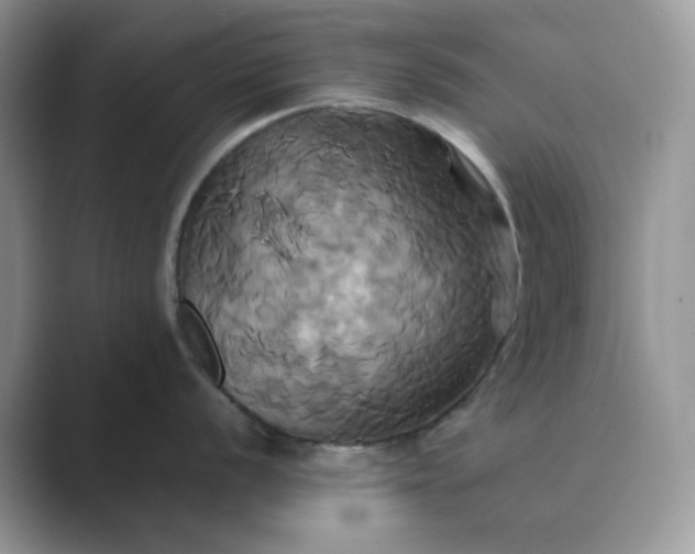 X0000089731056200707051735
