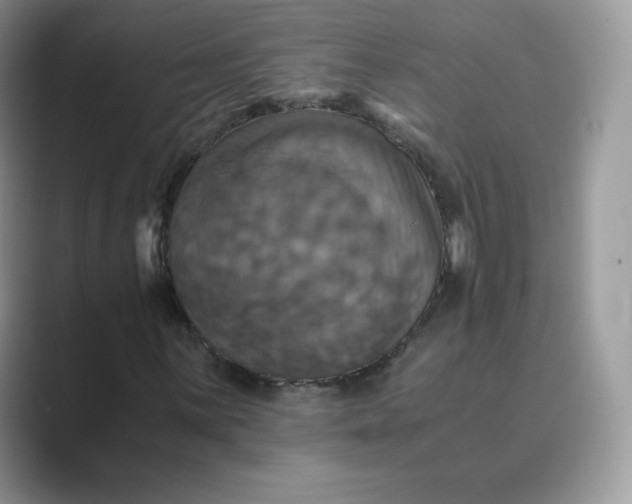 X0000089731059200707051735