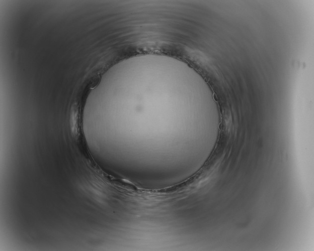 X0000089731060200707051735