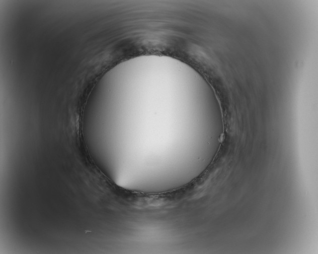 X0000089731061200707051735