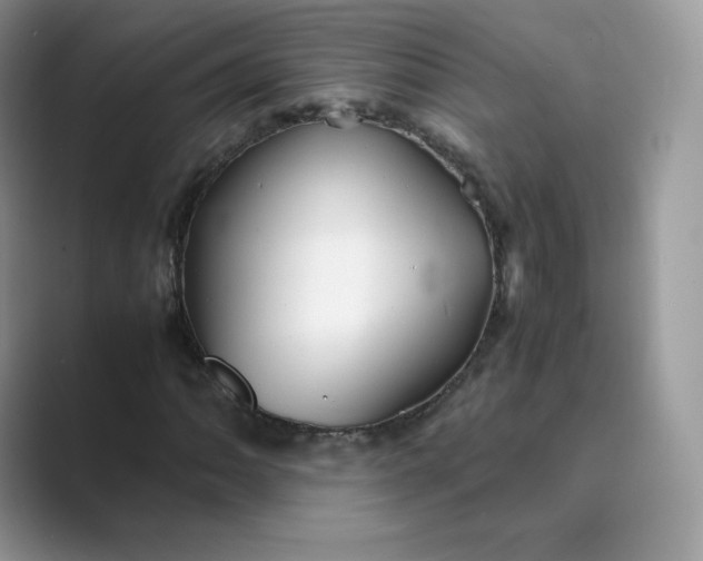 X0000089731062200707051735