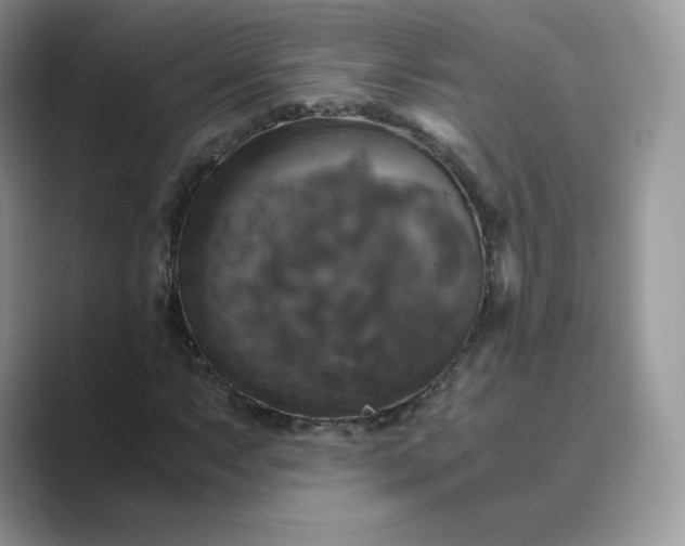X0000089731063200707051735